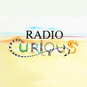 Radio Curious » Sex