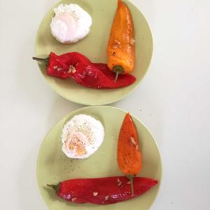 RICETTE SENZA