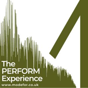 The PERFORM Experience