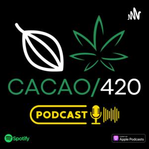 Cacao/420