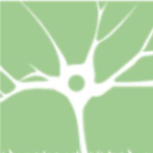 CERN Baseado em Evidências