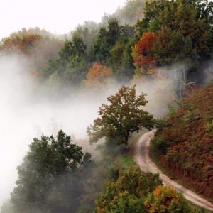 La poesía y los poetas