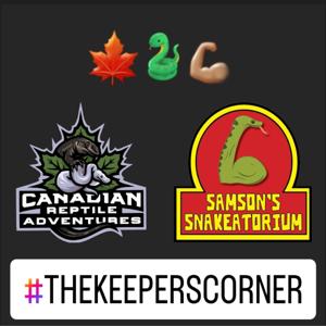 The Keeper's Corner