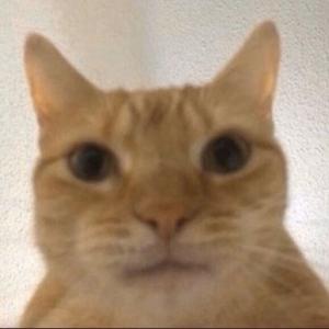 oldfool 3Speak Podcast