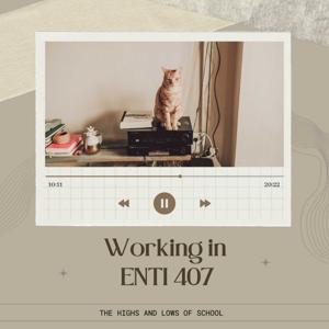 Working in ENTI 407