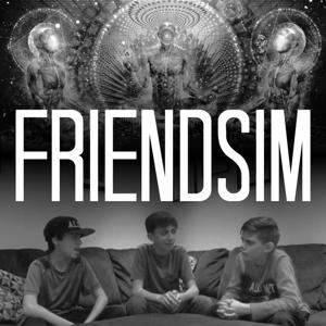 friendsim