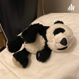 短パンだっていいじゃない