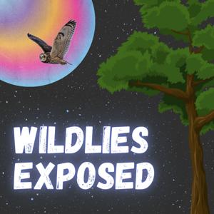 WildLies Exposed