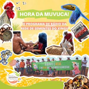 Hora da Muvuca