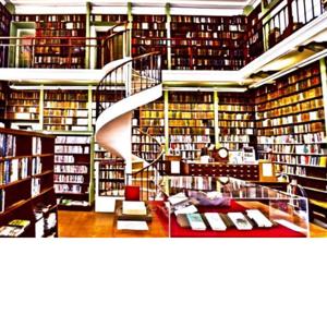 My library