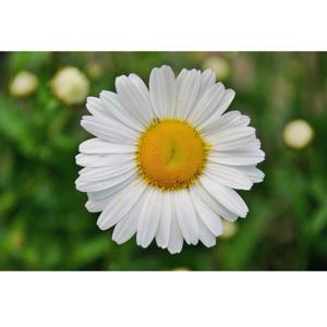 Keep It Positive For Life