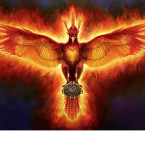 The Phoenix's Music and Movie Reviews