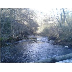 El Corrillo de Mayca.