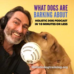 What Dogs Are Barking About