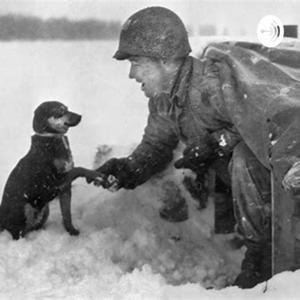 Soldiers and Dogs in WWII