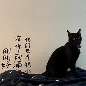 聽個意思