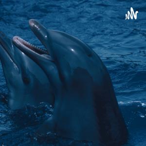 Inteligencia Cognitiva Y Emocional