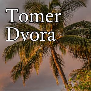 Tomer Dvora