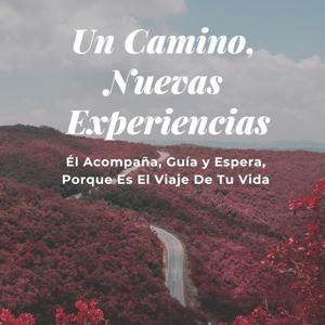 Caminando