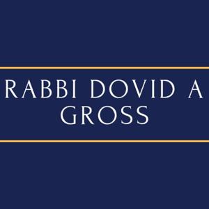 Rabbi Dovid A. Gross