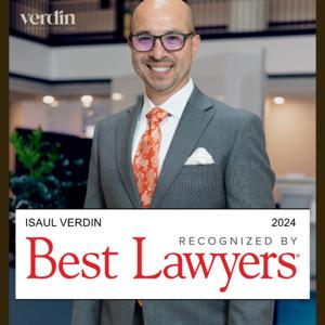 Verdin Immigration Law