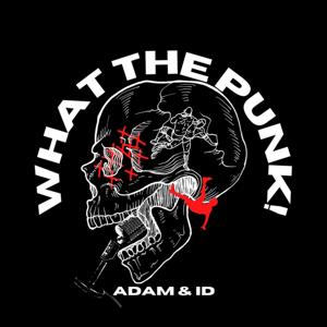 What The Punk!