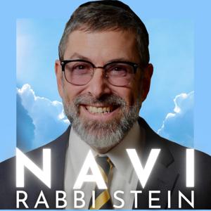 Navi Rabbi Stein