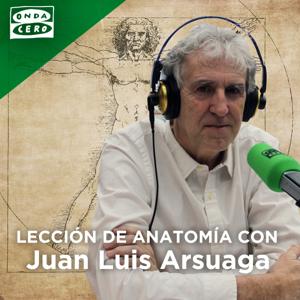 Lección de anatomía