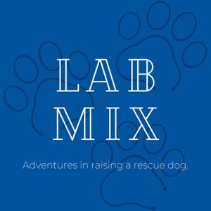 Lab Mix: Raising a Rescue Dog