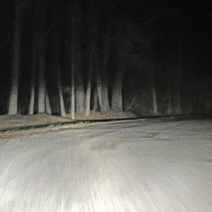 Meet me in the pale moonlight- unreleased