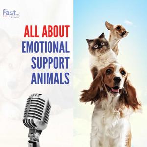 Everything You Must Know About Emotional Support Animals