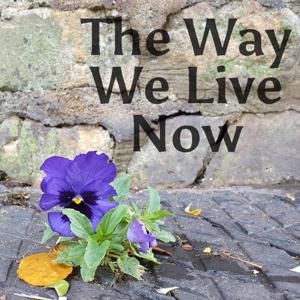 The Way We Live Now