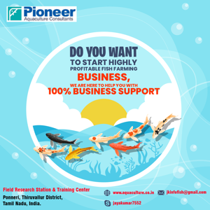 How to Start Fish Farm Business and Earn Money
