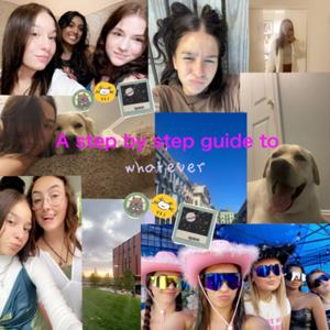 a step by step guide to whatever