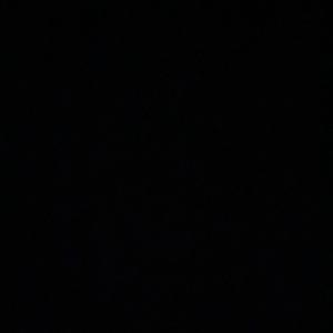 Steve Harvey?!??!?🙀🙀