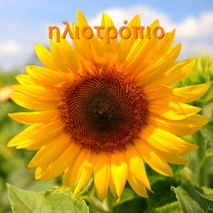 Τι χωράει σε μια μπότα;