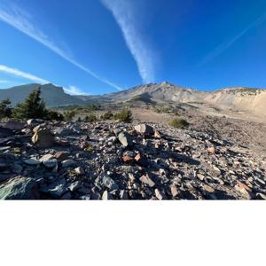 Strange Real News and True Facts