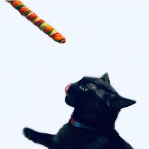 Lick That Lollipop Y/N