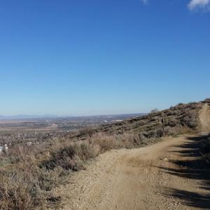My Journey on the Crooked Path