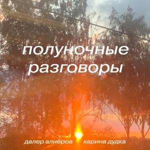 Полуночные разговоры