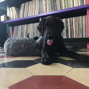 2022 canzoni che mi sono piaciute