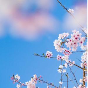 DEVELOPMENT OF INDIA