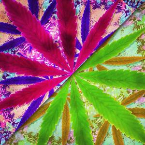 Dab Discourse S1E1 - Join us at Cliff