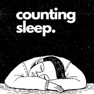 Counting Sleep