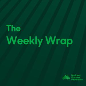 The Weekly Wrap