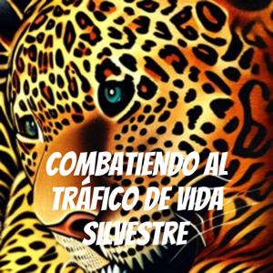 Combatiendo al tráfico de vida silvestre