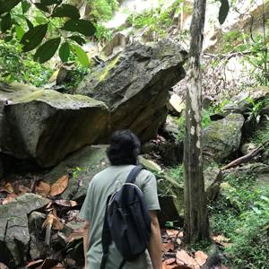 Oh Chai Hoo: A Walk Through Bukit Timah Nature Reserve 胡财和: 漫步在武吉知马自然区