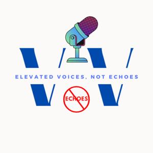 Valid Voices Podcast
