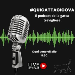 Quigattacicova - Il podcast della gatta trevigliese