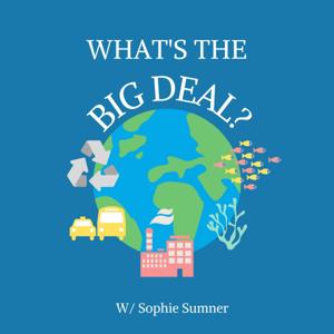 What's the Big Deal?